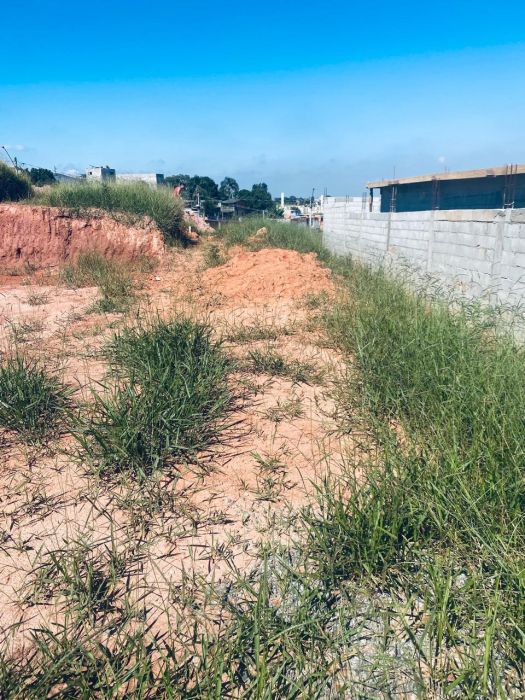 Terreno - Venda - Vila Virg�nia - Itaquaquecetuba - SP